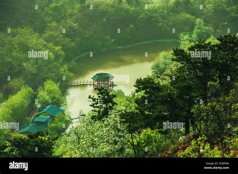  Qifeng Mountain: Göz Kamaştırıcı Manzaralar ve Gizemli Tarih!